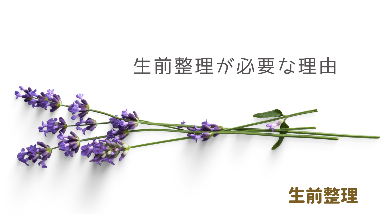 生前整理が必要な理由とは？